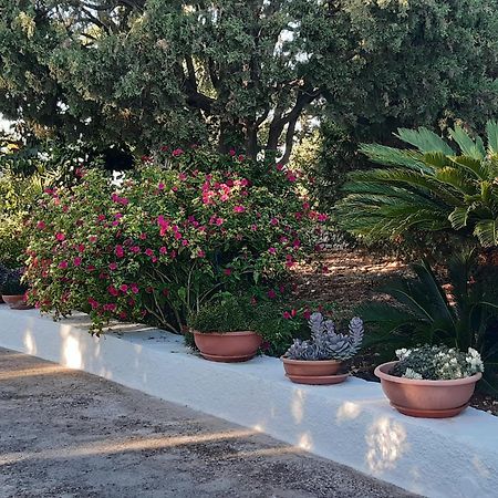 B&B Bell'Aria Monopoli Εξωτερικό φωτογραφία