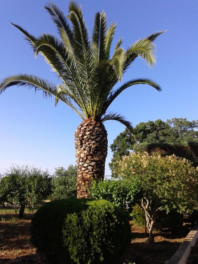 B&B Bell'Aria Monopoli Εξωτερικό φωτογραφία