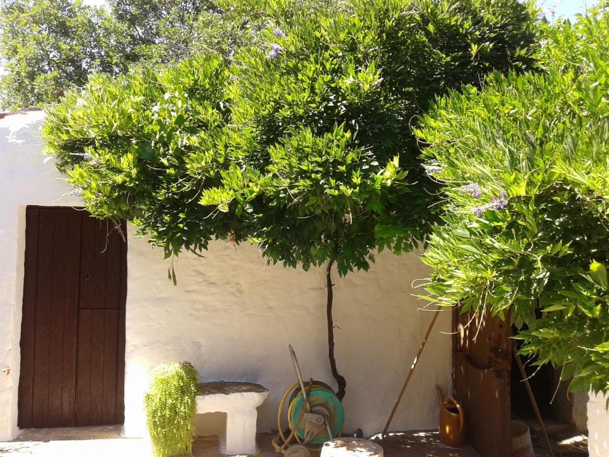 B&B Bell'Aria Monopoli Εξωτερικό φωτογραφία