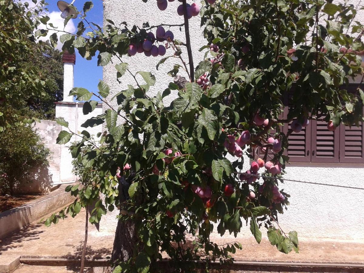 B&B Bell'Aria Monopoli Εξωτερικό φωτογραφία
