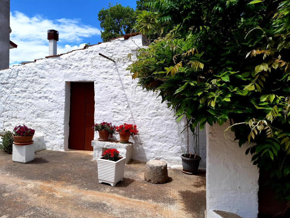 B&B Bell'Aria Monopoli Εξωτερικό φωτογραφία