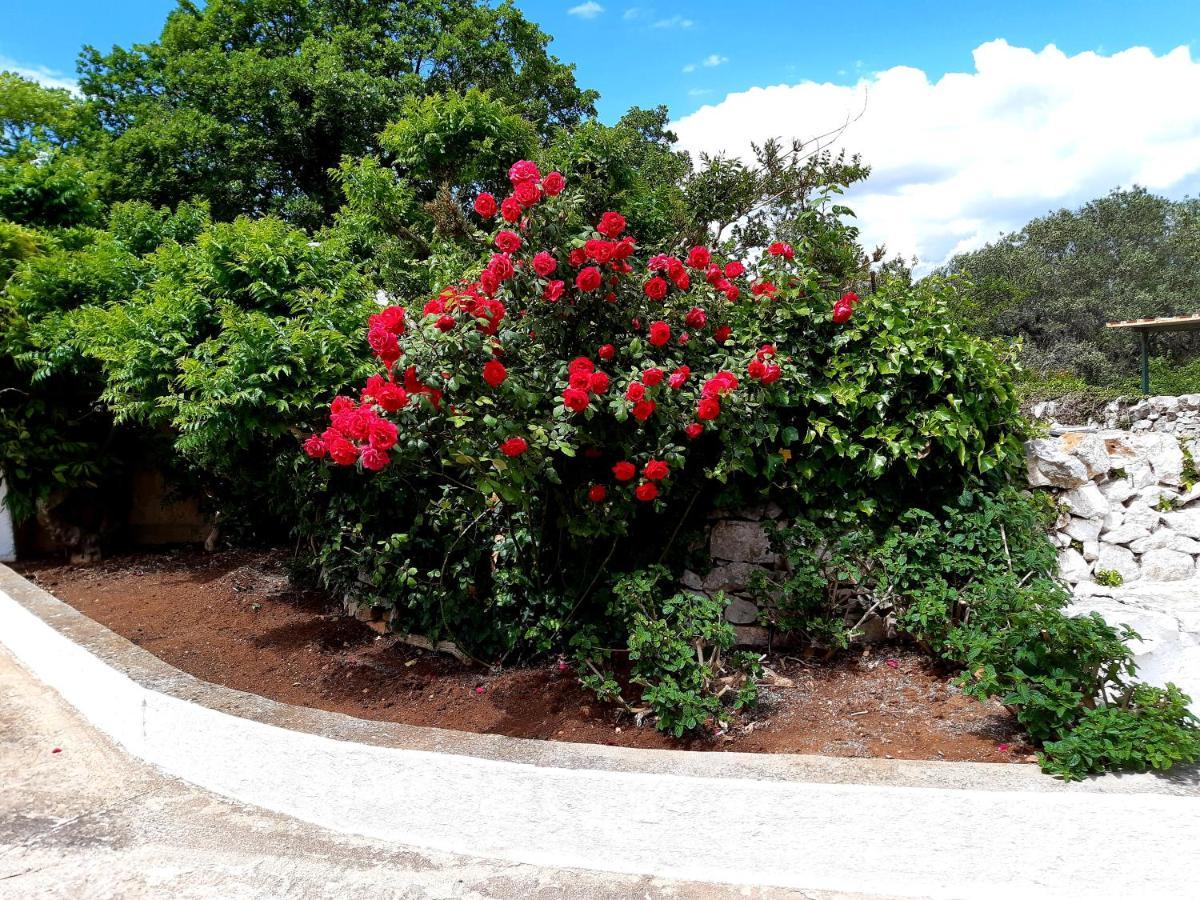 B&B Bell'Aria Monopoli Εξωτερικό φωτογραφία