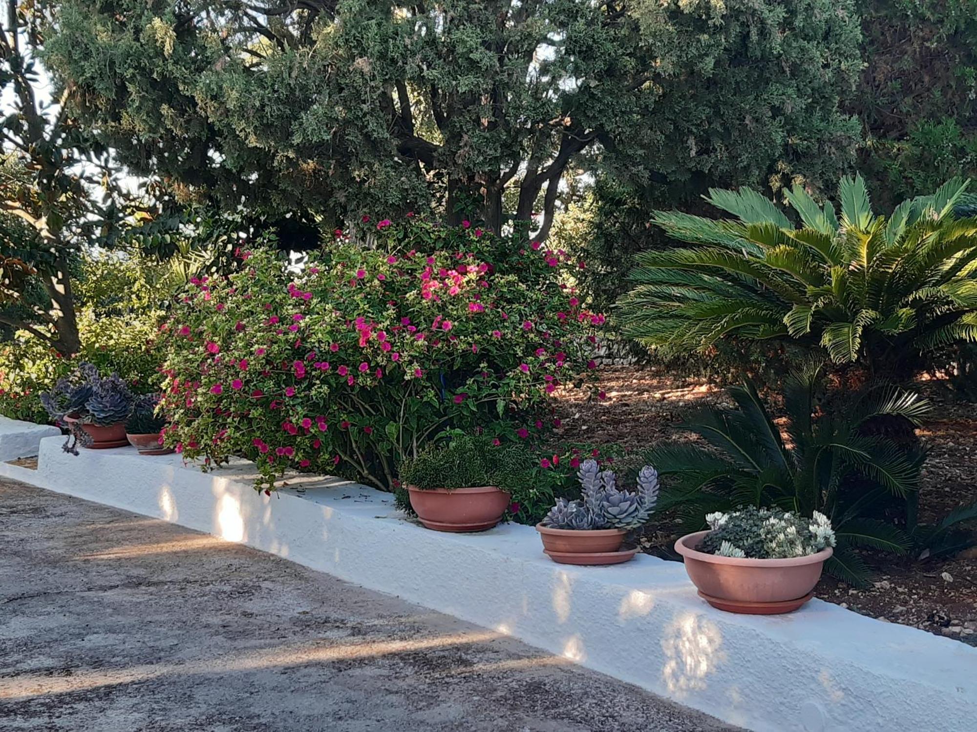 B&B Bell'Aria Monopoli Εξωτερικό φωτογραφία