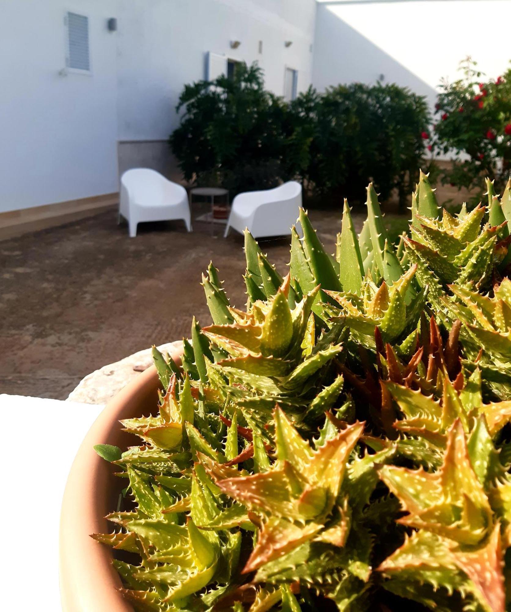 B&B Bell'Aria Monopoli Εξωτερικό φωτογραφία